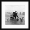 Feeding pigeons on Douglas Promenade by Manx Press Pictures
