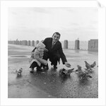 Feeding pigeons on Douglas Promenade by Manx Press Pictures