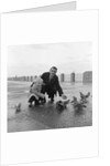 Feeding pigeons on Douglas Promenade by Manx Press Pictures