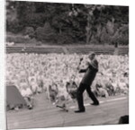 Personality Competition at the Palace by Manx Press Pictures