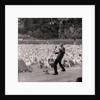 Personality Competition at the Palace by Manx Press Pictures
