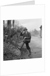 Head Gardener, Villa Marina, Douglas by Manx Press Pictures