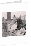 Herring Queen Day, Peel Castle by Manx Press Pictures