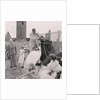 Herring Queen Day, Peel Castle by Manx Press Pictures