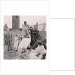 Herring Queen Day, Peel Castle by Manx Press Pictures