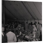Horticultural Show, Villa Marina by Manx Press Pictures
