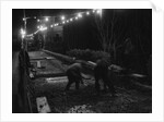 Building bridge by night, Laxey by Manx Press Pictures