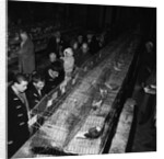 Fur and Feather Show, Derby Castle, Douglas by Manx Press Pictures