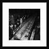 Fur and Feather Show, Derby Castle, Douglas by Manx Press Pictures