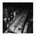 Fur and Feather Show, Derby Castle, Douglas by Manx Press Pictures