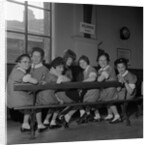 Annual St John Ambulance competitions, St Andrew's Hall by Manx Press Pictures