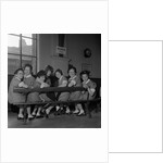 Annual St John Ambulance competitions, St Andrew's Hall by Manx Press Pictures