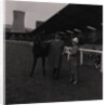 Light Horse Society Summer Show at Bowl by Manx Press Pictures