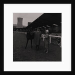 Light Horse Society Summer Show at Bowl by Manx Press Pictures