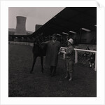 Light Horse Society Summer Show at Bowl by Manx Press Pictures