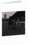 Light Horse Society Summer Show at Bowl by Manx Press Pictures