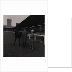 Light Horse Society Summer Show at Bowl by Manx Press Pictures