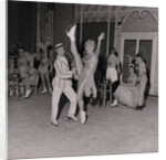 Palace Show by Manx Press Pictures