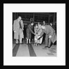 Jersey calf arrives on the Isle of Man, Ronaldsway airport by Manx Press Pictures