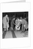 Jersey calf arrives on the Isle of Man, Ronaldsway airport by Manx Press Pictures