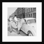 'Straight from the Horses Mouth', asdvertisement for Central Motors, Athol Street, Douglas by Manx Press Pictures