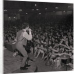 The Hollies at the Palace by Manx Press Pictures