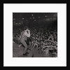 The Hollies at the Palace by Manx Press Pictures