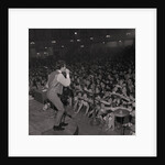 The Hollies at the Palace by Manx Press Pictures