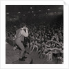 The Hollies at the Palace by Manx Press Pictures