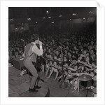 The Hollies at the Palace by Manx Press Pictures