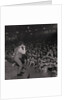The Hollies at the Palace by Manx Press Pictures