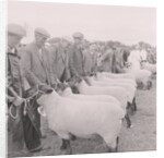 Southern Agricultural Show by Manx Press Pictures