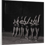 Palace Show dancers by Manx Press Pictures