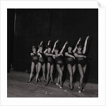 Palace Show dancers by Manx Press Pictures
