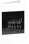 Palace Show dancers by Manx Press Pictures