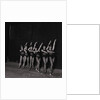 Palace Show dancers by Manx Press Pictures