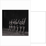 Palace Show dancers by Manx Press Pictures