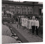 Douglas Carnival Queen finalists by Manx Press Pictures