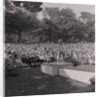 Miss Greeba by Manx Press Pictures