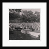 Miss Greeba by Manx Press Pictures