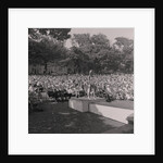 Miss Greeba by Manx Press Pictures