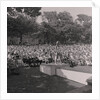 Miss Greeba by Manx Press Pictures