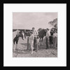 Old Horses Open Day by Manx Press Pictures
