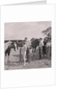 Old Horses Open Day by Manx Press Pictures