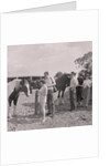 Old Horses Open Day by Manx Press Pictures
