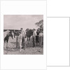 Old Horses Open Day by Manx Press Pictures