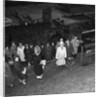 Women's Institute tree planting, Laxey by Manx Press Pictures