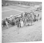 Tree planting, Laxey by Manx Press Pictures