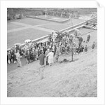 Tree planting, Laxey by Manx Press Pictures