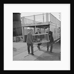 Animals arrive at Douglas Pier for Isle of Man Wildlife Park by Manx Press Pictures